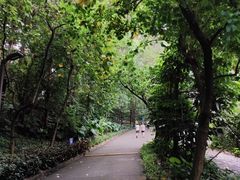 -南岗山公园