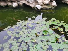 -西山风景区