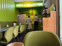 -油梨树AVOCADO TREE(顺义新国展店)