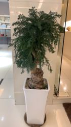 -锦尚名仕Hair Salon