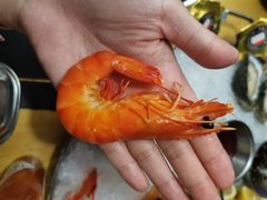 -囧吉香生蚝牛排馆(湖北路店)