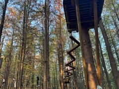 -上海浦江郊野公园-2号停车场