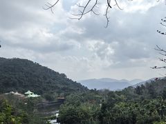 -呀诺达热带雨林