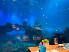 -海棠湾洲际-涛·海底餐厅·美人鱼·自助餐·海底隧道
