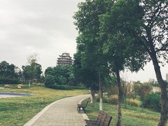 -眉山湿地公园(东坡区)