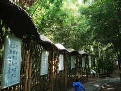 -同里国家湿地公园