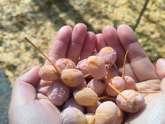-汉景帝阳陵博物院