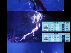 -海合安武汉极地海洋公园
