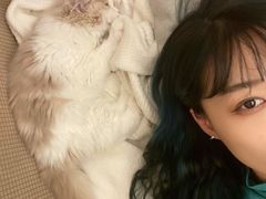 -小猫来了·猫舍(红山六九七九店)