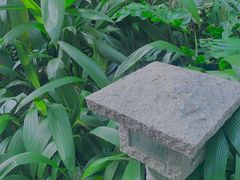 -广州兰圃