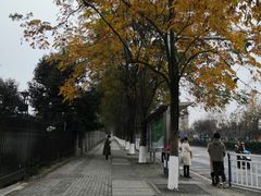 -西南政法大学(渝北校区)