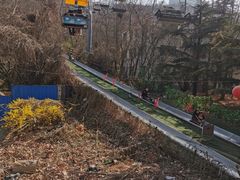 -富斯特索道