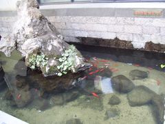 -泉乐坊步行街(烟酒特产平价超市店)