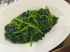 -云境生态园(高新旗舰店)