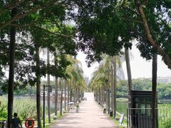 -南宁南湖公园