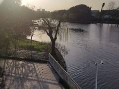-新江湾城公园