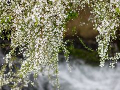 -中国茶叶博物馆(双峰馆区)
