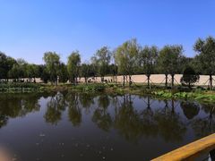 -东郊湿地公园