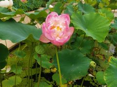 -南戴河国际娱乐中心