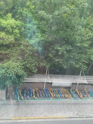 -上海首尔丽格医疗美容医院