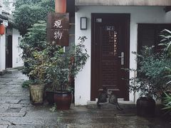 -运河游船(武林门码头)