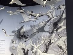 -中国湿地博物馆