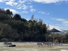 -宁波野生动物园