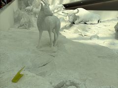 -中国湿地博物馆