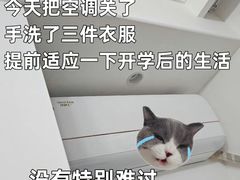 -新东方考研·专升本·四六级(龙子湖校区)