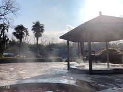 -金孔雀温泉旅游度假村