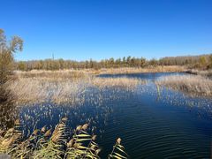 -野鸭湖国家湿地公园