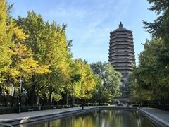-玲珑塔公园