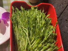 -番食园鲜食火锅(高新店)