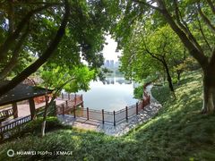 -重庆彩云湖湿地公园