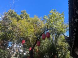 -小红帽摄影(丽江店)