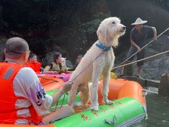 -安吉龙王山峡谷漂流