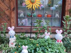 -郑州方特梦幻王国