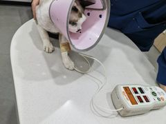 -阿荣24H宠物医院·综合型转诊中心·CT·核磁影像中心