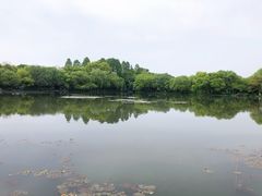 -西湖外事游船(花港观鱼码头)