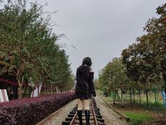 -武汉紫薇都市田园