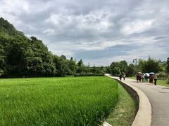 -贵阳市花溪国家城市湿地公园
