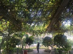 -陆地游轮吉林神农温泉