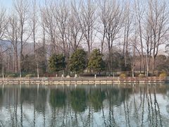 -老山国家森林公园