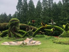 -东平国家森林公园