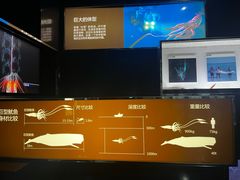 -同济大学四平路校区深海探索馆