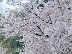 -杭州少年儿童公园