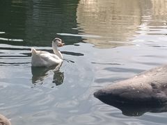 -莲湖公园