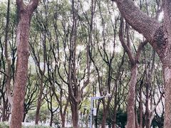 -徐家汇源景区-衡山公园