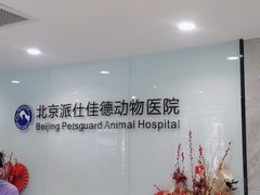 -北京派仕佳德动物医院·超导核磁·CT·神经科·骨科·内外科·急重症管理中心
