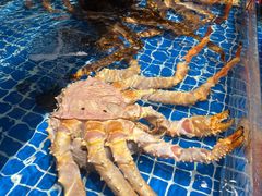 -必点海鲜·海肠捞饭·鲅鱼水饺(滨江道店)